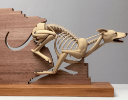 John Morris | Lethbridge Gallery